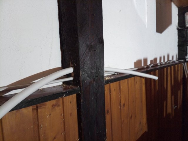 Bild von