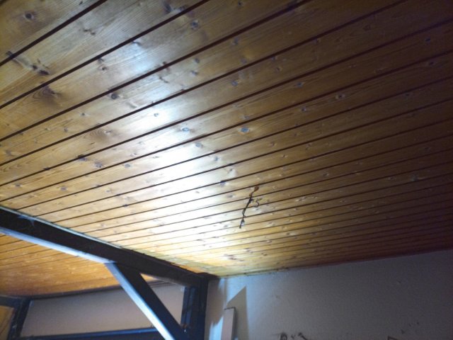 Bild von
