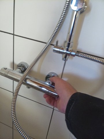 Bild von