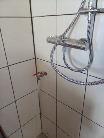 Bild von