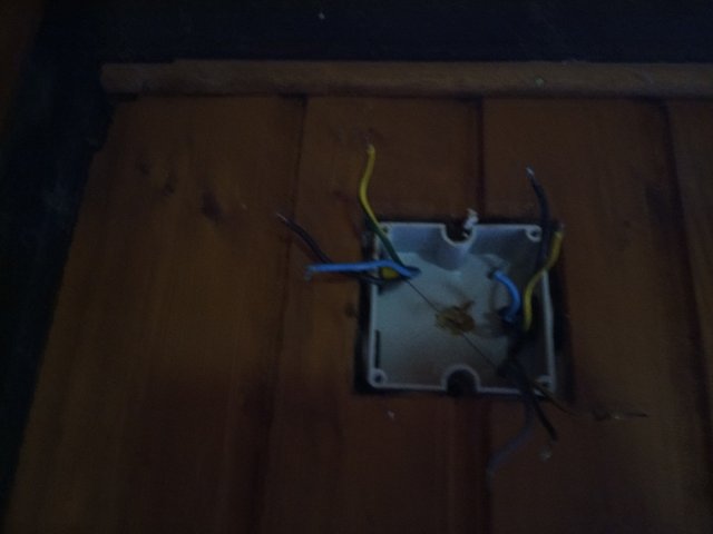 Bild von