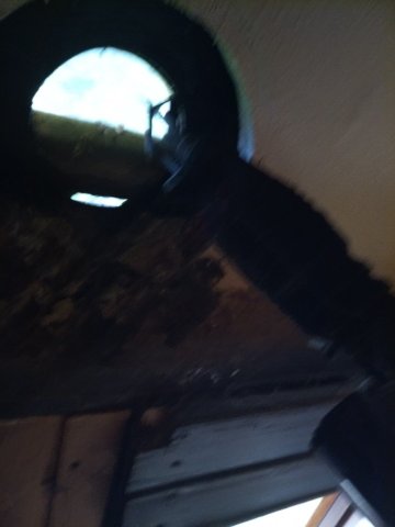 Bild von