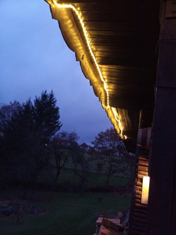 Bild von