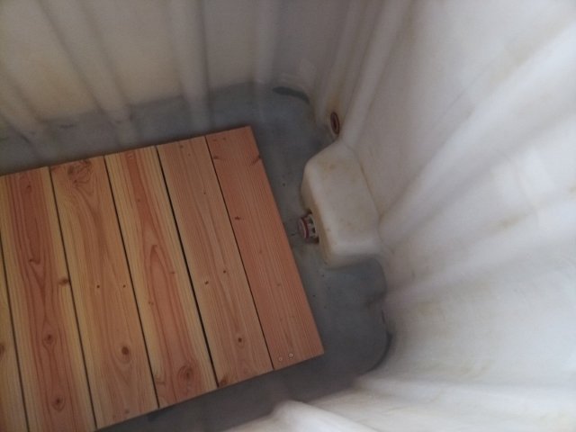 Bild von