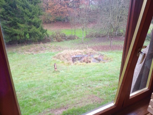 Bild von
