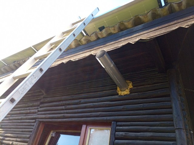 Bild von