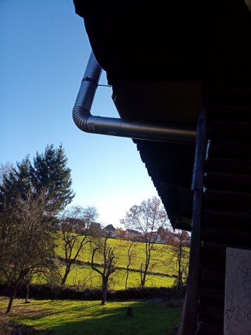 Bild von