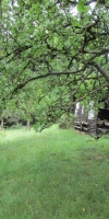 Bild von