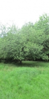 Bild von