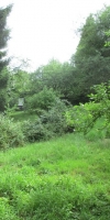 Bild von