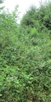 Bild von