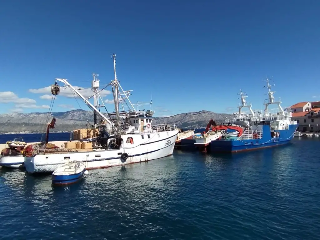 Kroatien_Dalmatien_11_Bootstour_Insel_Brac