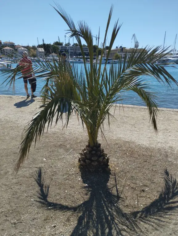 Kroatien_Dalmatien_13_Trogir