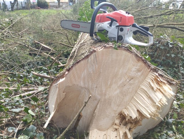 Brennholz mit der Kettensäge Greencut Baug Demon Scheppach Güde Fuxtec Motorsäge aus dem Baumarkt aus China selbst machen für den wasserführenden Ofen zum Geld sparen und günstig Heizen