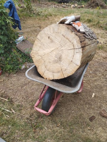 Brennholz mit der Kettensäge Greencut Baug Demon Scheppach Güde Fuxtec Motorsäge aus dem Baumarkt aus China selbst machen für den wasserführenden Ofen zum Geld sparen und günstig Heizen