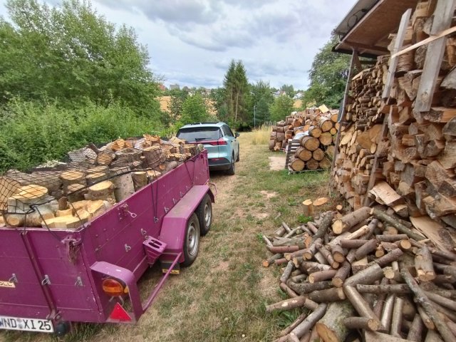 Brennholz mit der Kettensäge Greencut Baug Demon Scheppach Güde Fuxtec Motorsäge aus dem Baumarkt aus China selbst machen für den wasserführenden Ofen zum Geld sparen und günstig Heizen