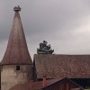 Bild von