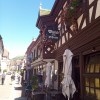 Bild von
