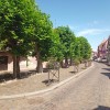 Bild von