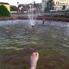 Bild von