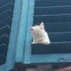 Bild von