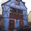 Bild von