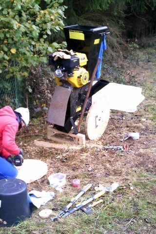 Bild von Angie