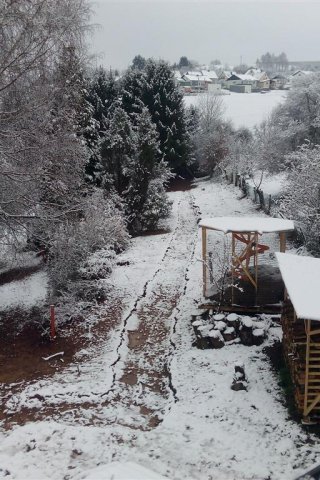 Bild von 