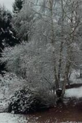 Bild von 