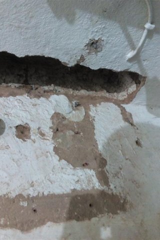 Bild von 