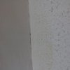 Bild von 