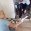 Bild von 