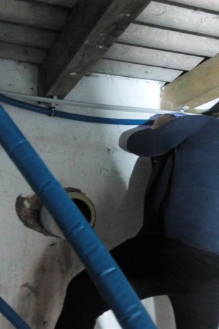 Bild von 