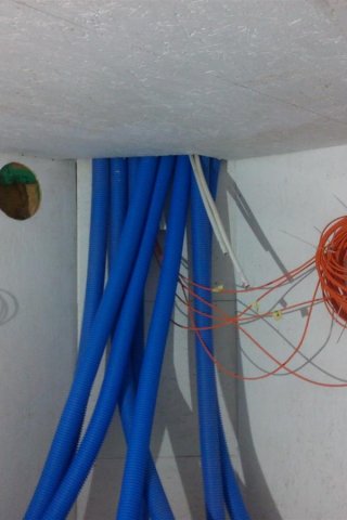 Bild von 