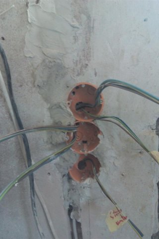 Bild von 