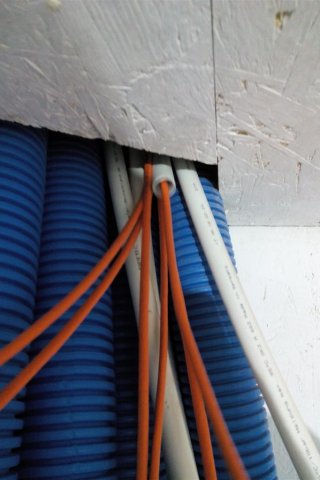 Bild von 