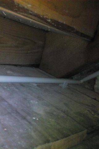 Bild von 