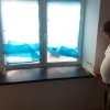 Bild von 