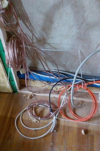 Bild von 