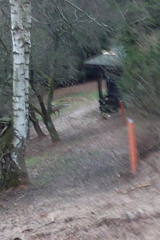 Bild von 