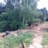 Bild von 