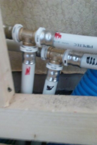 Bild von 