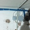 Bild von 