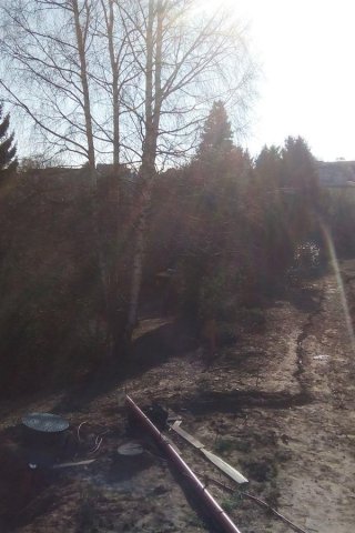 Bild von 