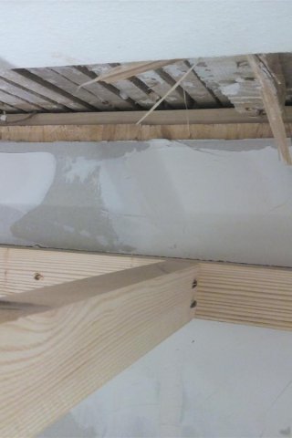 Bild von 