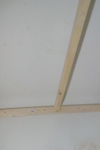Bild von 