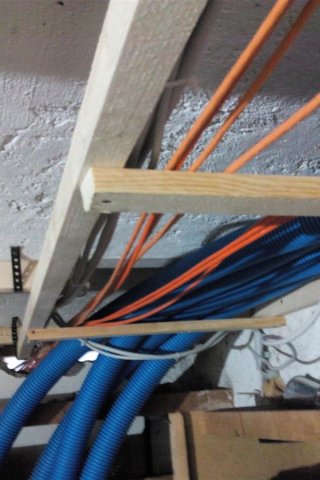 Bild von 