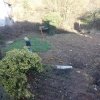 Bild von 