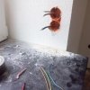 Bild von 