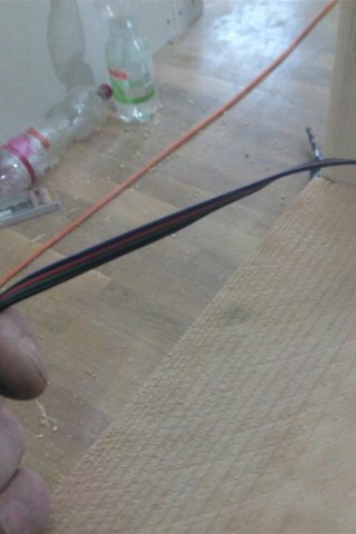 Bild von 